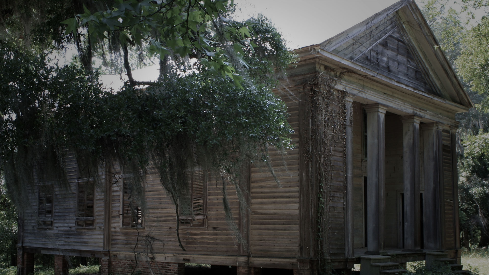 Adams Grove Presbyterian Church in Dallas County, Alabama