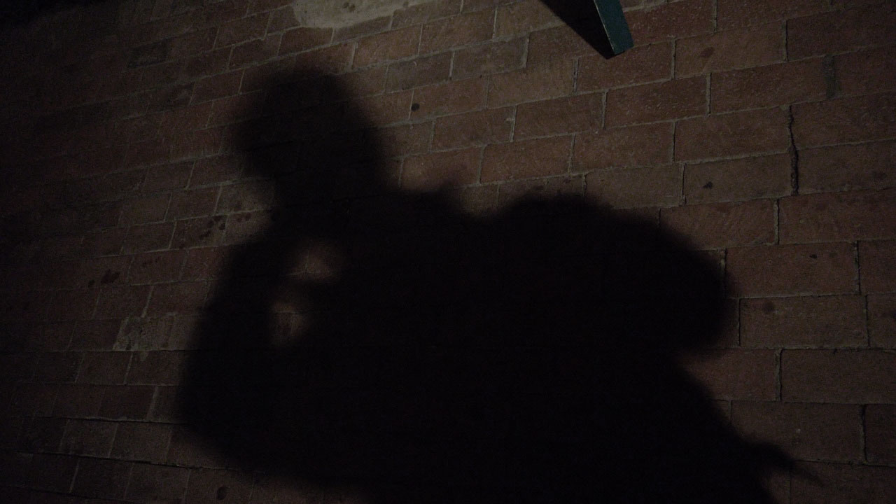 A dark shadow against a brick wall.