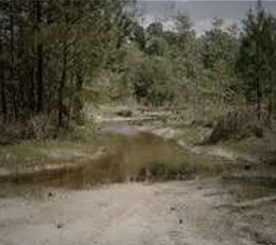 Beaver Mills, Alabama